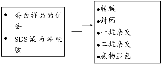 d1103a61-9700-4400-95b7-9b214bb5a857 贝斯特 - 全球最奢华的游戏平台