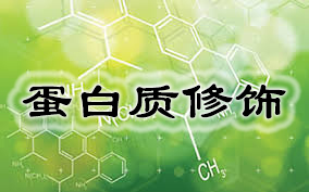a91cb764-151d-404c-9f8a-82f75356d2b2 贝斯特 - 全球最奢华的游戏平台
