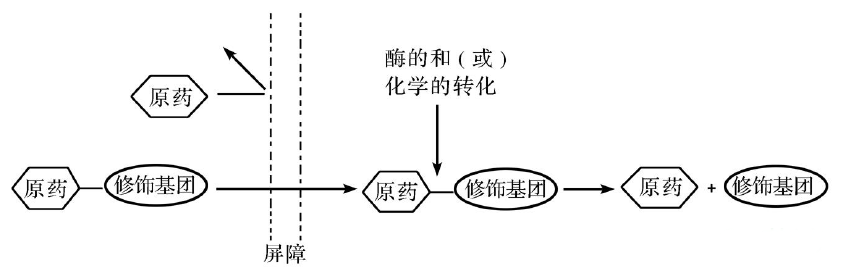 6ff46a95-356c-46f7-bc4e-84f405b4fa9c 前药的由来及基本特征