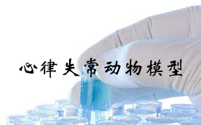 心率失常动物模型 心率失常动物模型