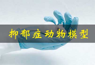 抑郁症动物模型 抑郁症动物模型