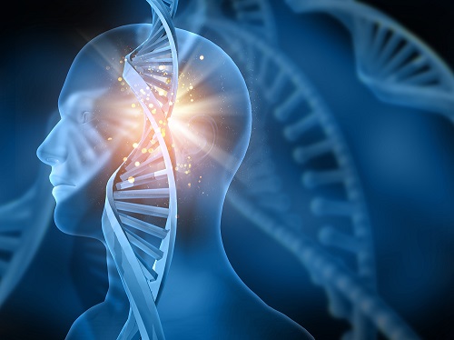贝斯特全球最奢华的游戏平台助力新药研发又一阶：海和生物与思路迪医药开启抗肿瘤新药合作