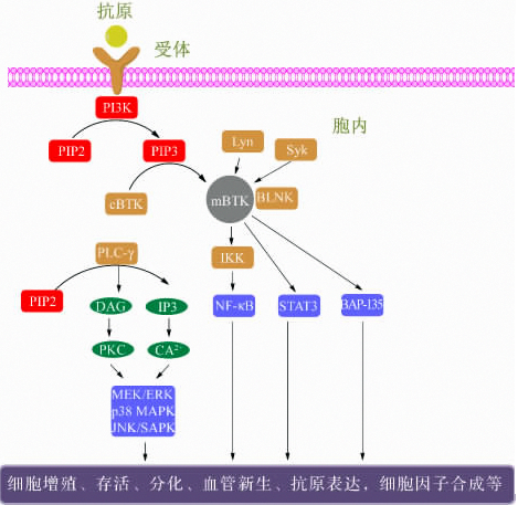 贝斯特 - 全球最奢华的游戏平台