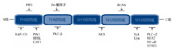 贝斯特 - 全球最奢华的游戏平台