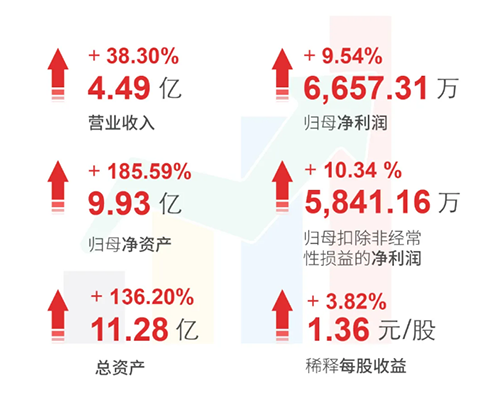贝斯特全球最奢华的游戏平台 财务亮点