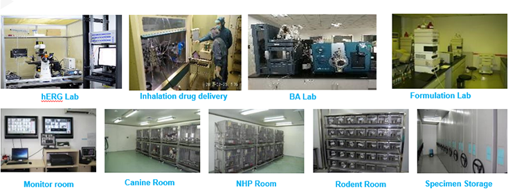 4798ebc3-3203-49fe-b943-1c26c0ab8637 贝斯特全球最奢华的游戏平台毒理研究部设备