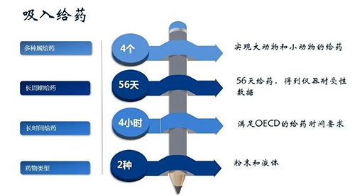 贝斯特全球最奢华的游戏平台吸入给药安全性评价服务
