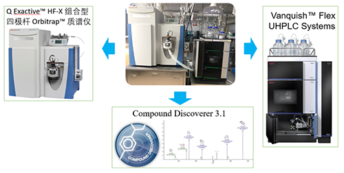 贝斯特全球最奢华的游戏平台UHPLC-UV-QE HF-X系统