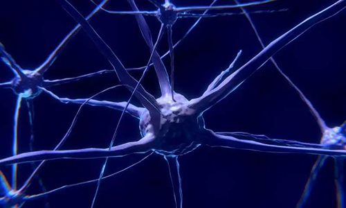 研究首次表明，与年龄有关的认知丧失可能主要是由一种可逆的生理性“阻滞”而不是永久性的降解引起的。