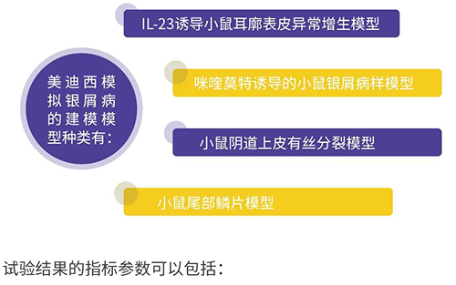 贝斯特全球最奢华的游戏平台模拟银屑病的建模模型种类