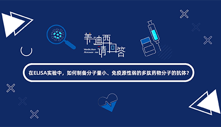 在ELISA实验，如何制备分子量小、免疫原性弱的多肽药物分子的抗体？