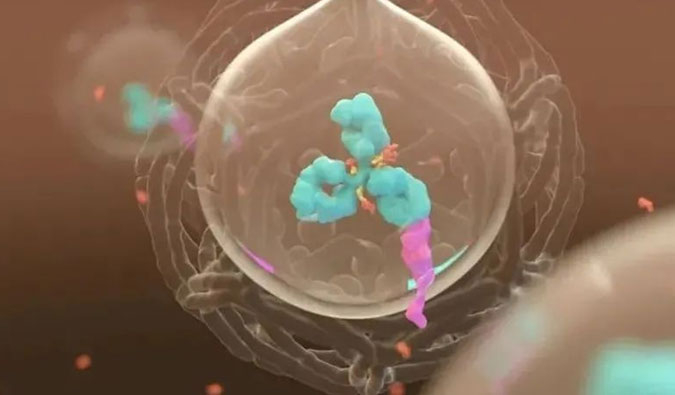 美研 | ADC，为靶向给药而精准深耕