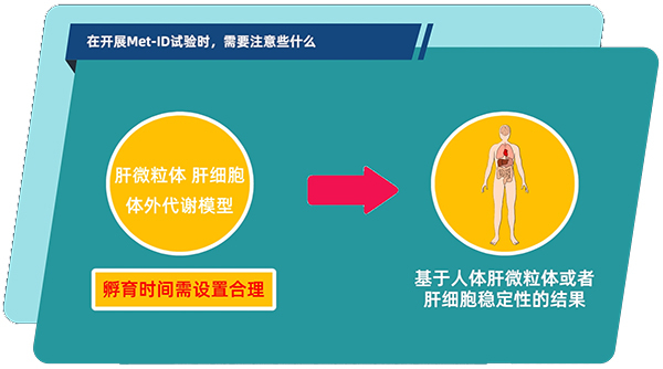 肝微粒体、肝细胞体外代谢模型中，孵育时间需设置合理.jpg