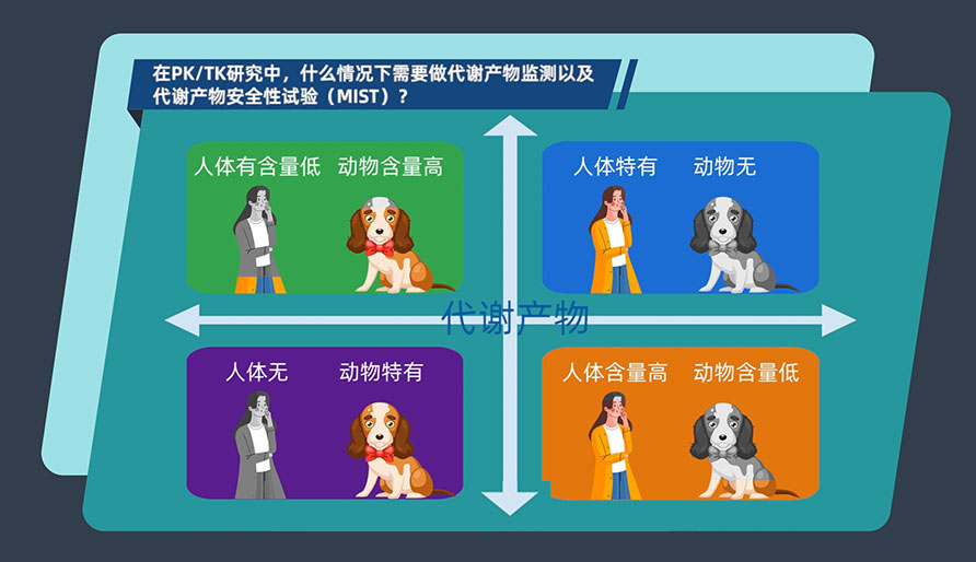 在PK-TK研究中，什么情况下需要做代谢产物监测以及代谢产物安全性试验（MIST）