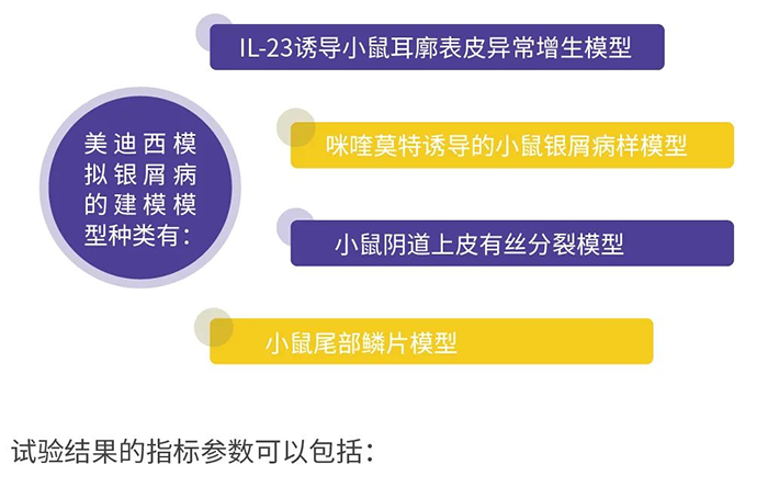 贝斯特全球最奢华的游戏平台模拟银屑病的建模模型.png