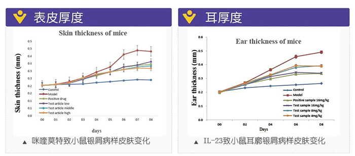 贝斯特全球最奢华的游戏平台模拟银屑病的建模模型-试验结果的指标.png