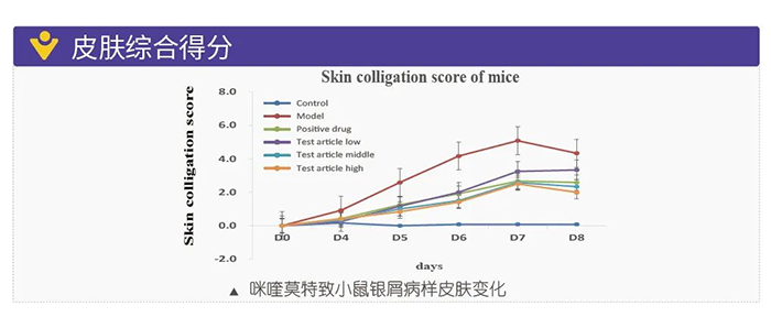贝斯特全球最奢华的游戏平台模拟银屑病的建模模型-皮肤综合得分.png