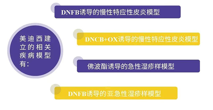 贝斯特全球最奢华的游戏平台建立的特应性皮炎模型.png