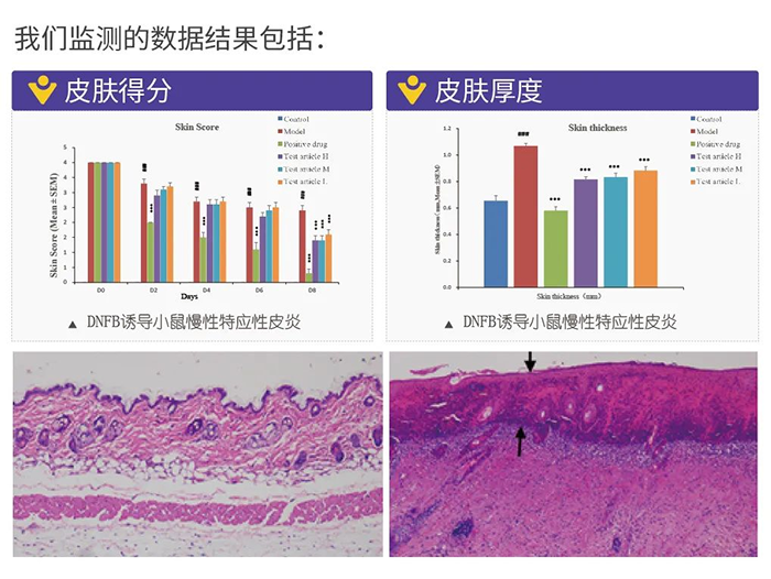 贝斯特全球最奢华的游戏平台监测的数据结果.png