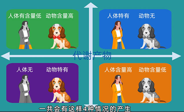 在PK-TK研究中，什么情况下需要做代谢产物监测以及代谢产物安全性试验（MIST）.jpg