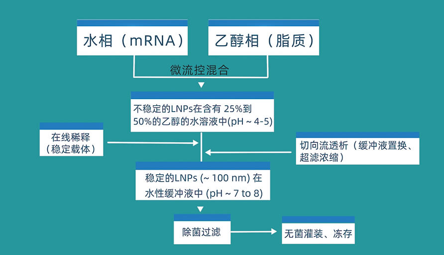 mRNA疫苗的工艺流程、处方与工艺参数、关键质量属性有哪些？
