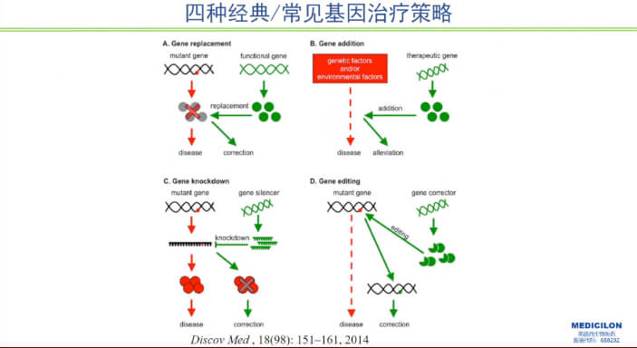 图1-四种经典常见基因治疗策略.jpg 图1-四种经典常见基因治疗策略.jpg