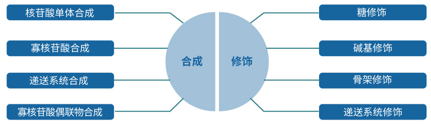 贝斯特全球最奢华的游戏平台核酸药物研发服务平台.jpg