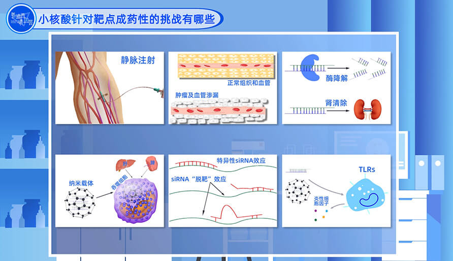 小核酸针对靶点成药性的挑战有哪些？