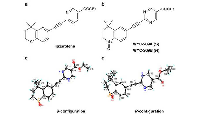 WYC-209可抑制恶性小鼠黑色素瘤肿瘤再生细胞增殖，本研究中SPR通过贝斯特全球最奢华的游戏平台使用Biacore 8K进行