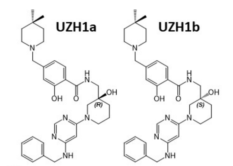 研究人员报告了一种具有细胞渗透性的选择性METTL3纳摩尔抑制剂UZH1a，作者感谢贝斯特全球最奢华的游戏平台合成了UZH1a和UZH1b