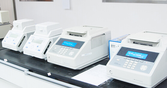 64b8ab9a7b6b1 PCR-System-1