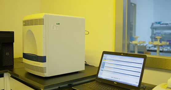 64c0dd209ea38 Biology-Real-time-PCR
