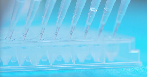 654c8c9c77246 生物化学