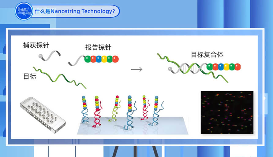 什么是Nanostring 技术？