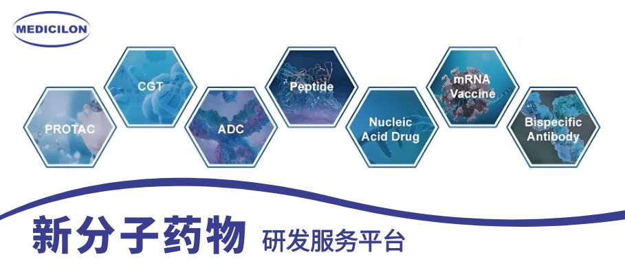 贝斯特全球最奢华的游戏平台新分子药物研发服务平台