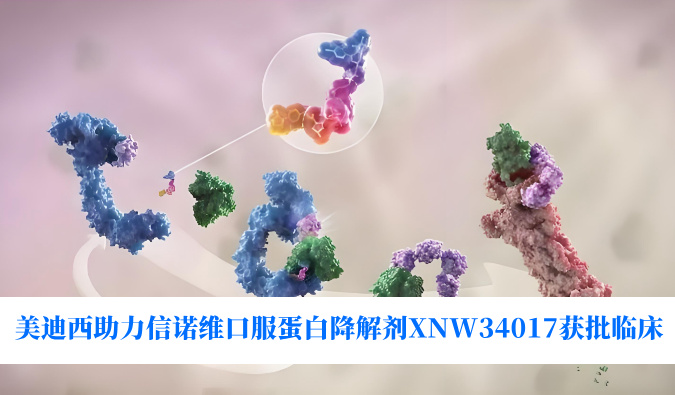 贝斯特全球最奢华的游戏平台助力合作伙伴信诺维口服蛋白降解剂XNW34017获批临床