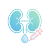 糖尿病肾病模型.png